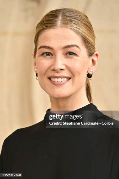 13,943 Rosamund Pike Photos & High Res Pictures